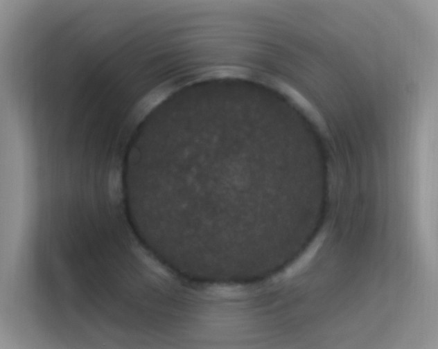 X0000113630977200909251217