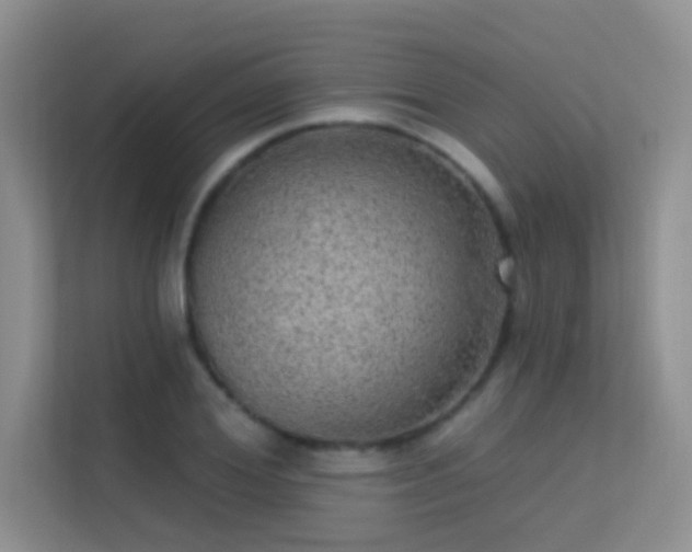 X0000113630980200909251217