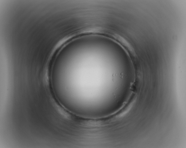 X0000113630981200909251217