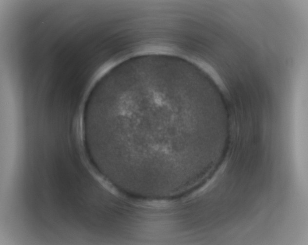 X0000113630982200909251217
