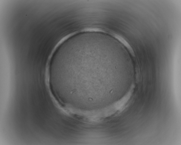 X0000113630984200909251217
