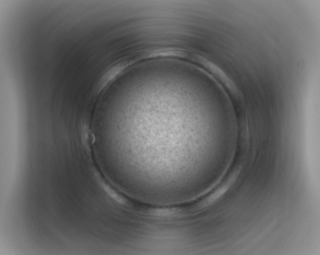 X0000113630985200909251217