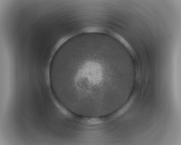 X0000113630986200909251217