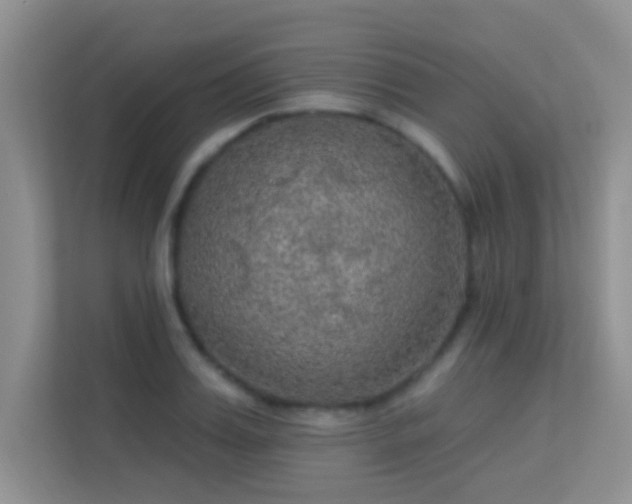X0000113630987200909251217