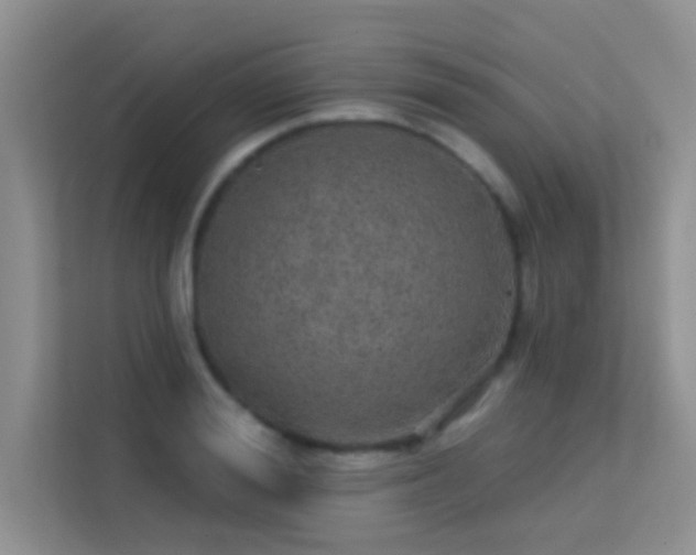 X0000113630988200909251217
