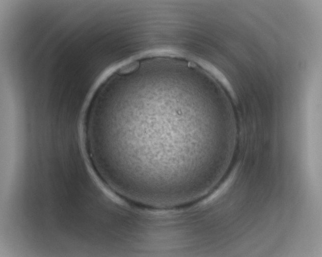 X0000113630989200909251217