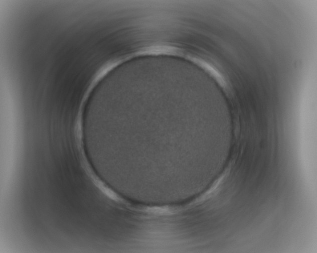 X0000113630990200909251217