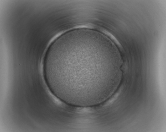 X0000113630991200909251217