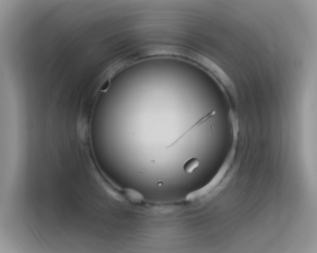 X0000113630993200909251217