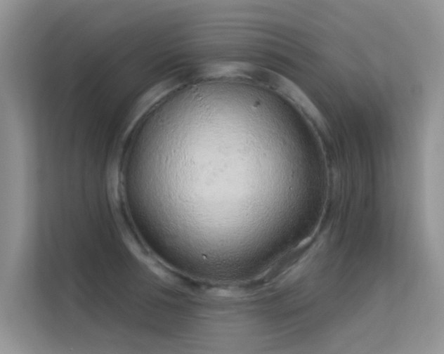 X0000113630994200909251217
