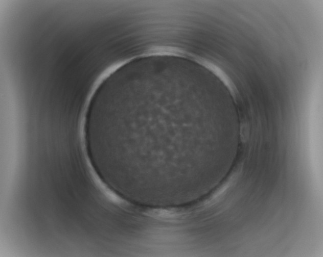X0000113630995200909251217