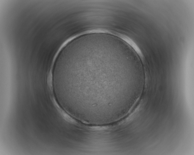 X0000113630996200909251217