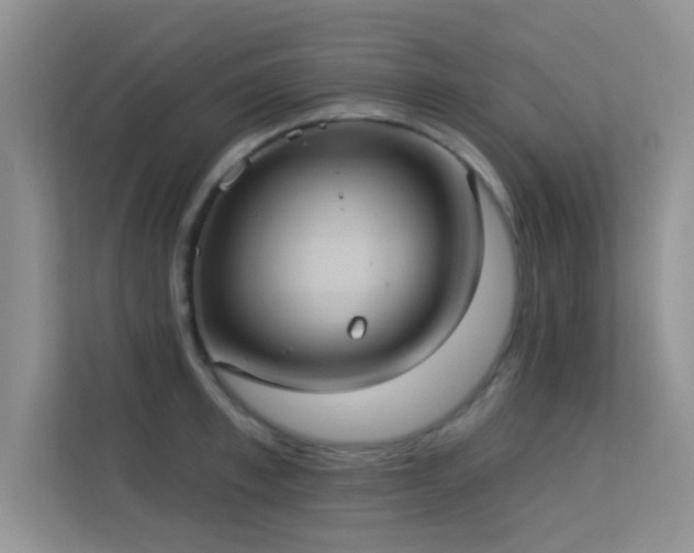 X0000113630997200909251217