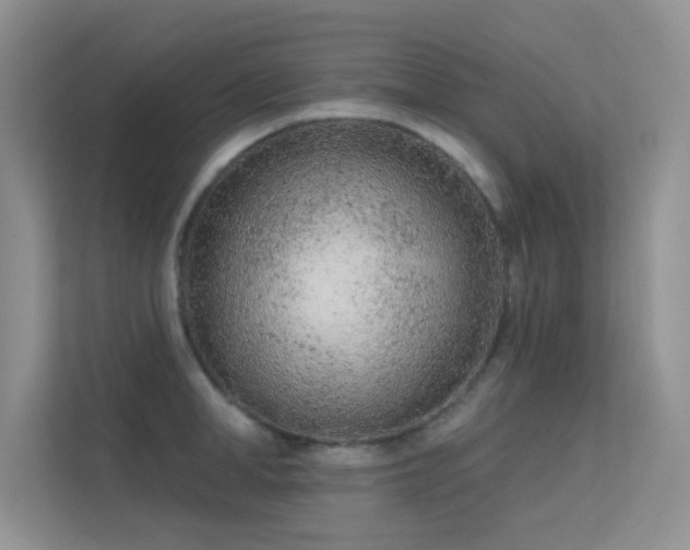 X0000113630998200909251217
