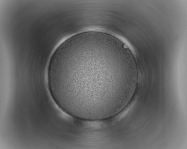 X0000113630999200909251217