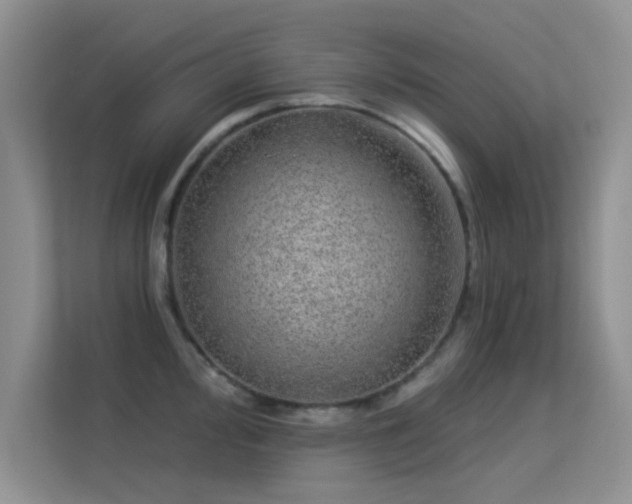 X0000113631000200909251217