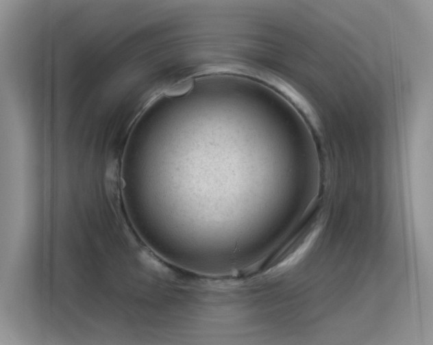 X0000113631001200909251217