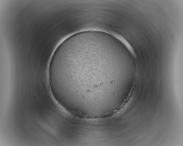 X0000113631004200909251217