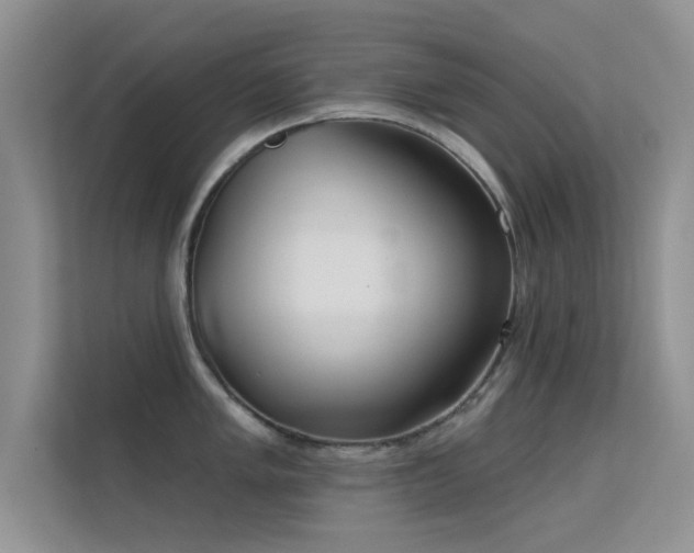 X0000113631005200909251216