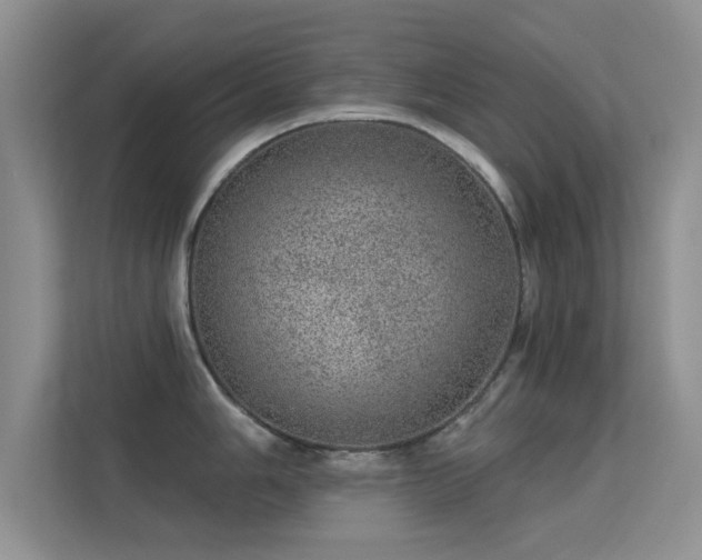 X0000113631006200909251216