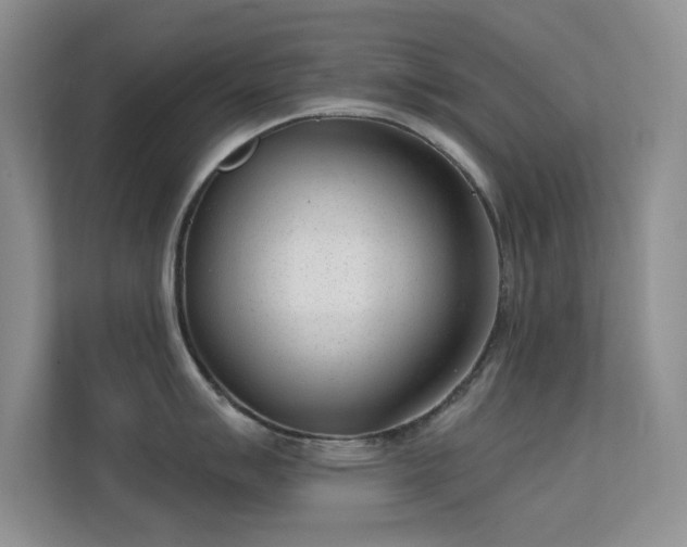 X0000113631007200909251216