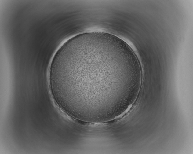 X0000113631008200909251216