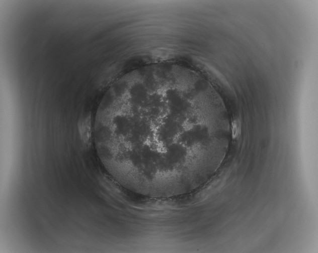 X0000113631011200909251216
