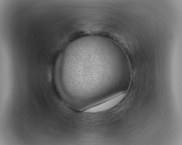X0000113631012200909251216