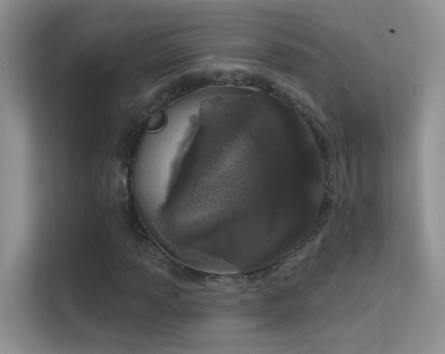 X0000113631013200909251216