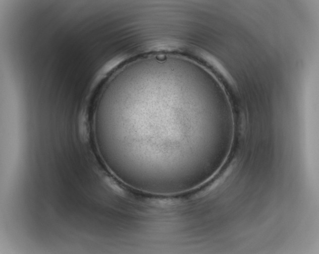 X0000113631018200909251216