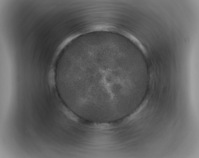 X0000113631019200909251216