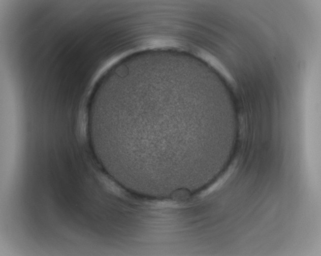 X0000113631021200909251216