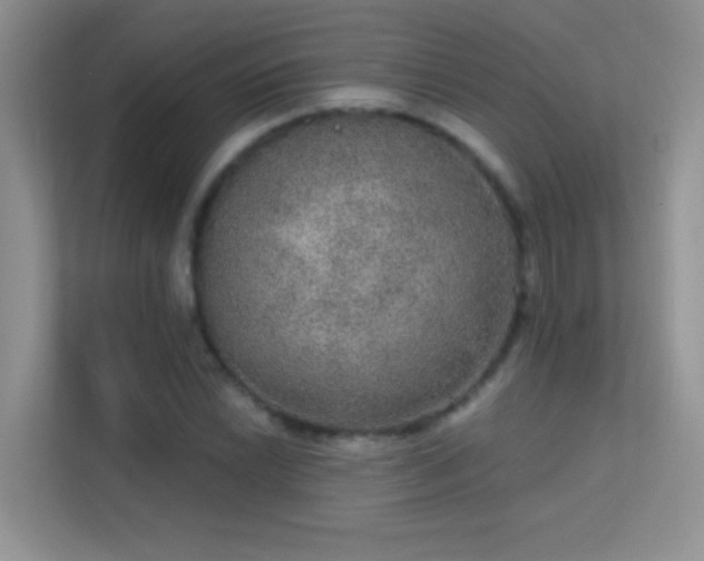 X0000113631022200909251216