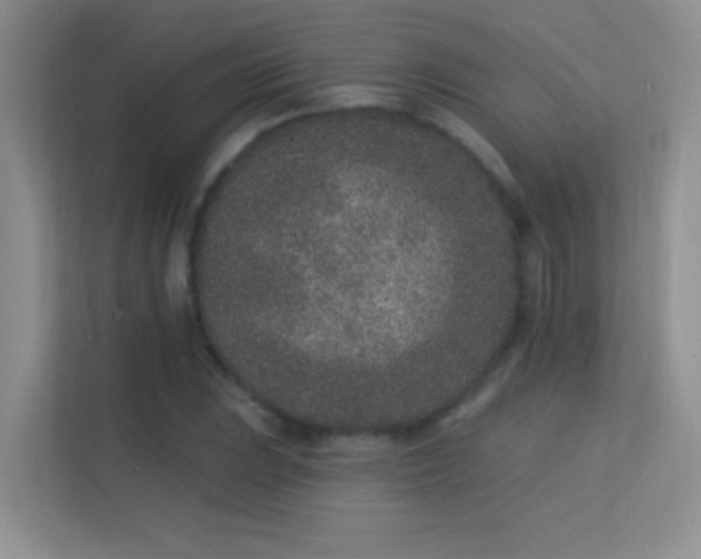 X0000113631023200909251216