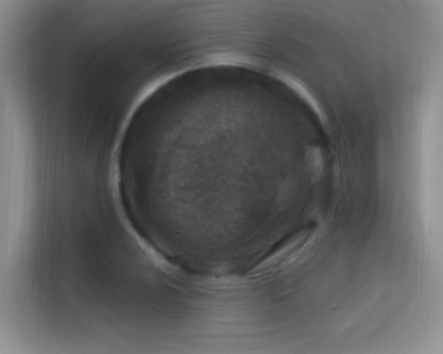 X0000113631024200909251216