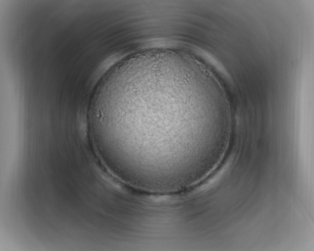 X0000113631025200909251216