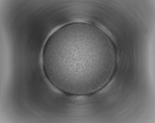 X0000113631028200909251216