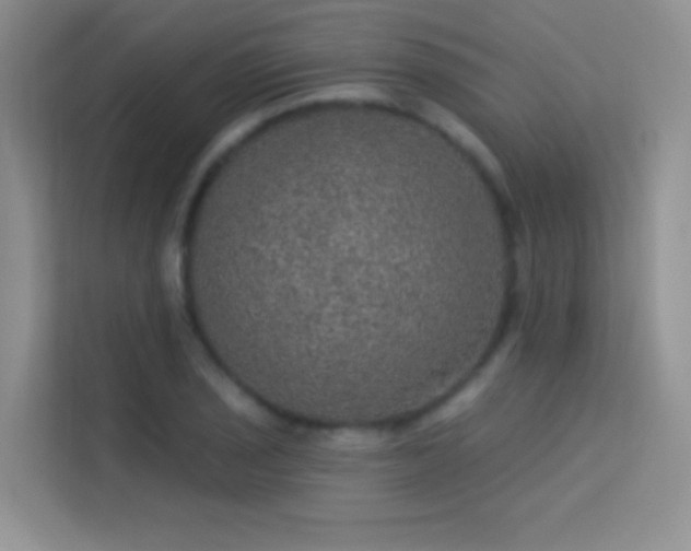 X0000113631029200909251216