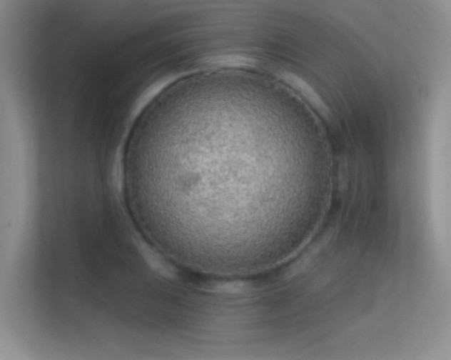 X0000113631031200909251216