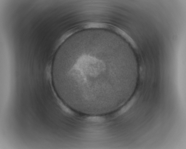 X0000113631033200909251216