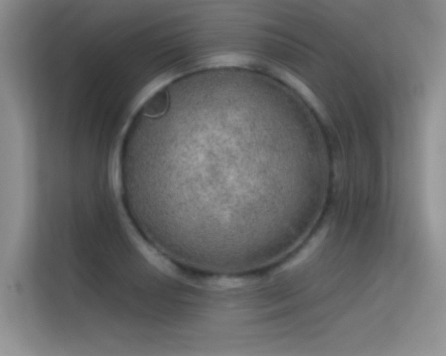 X0000113631034200909251216