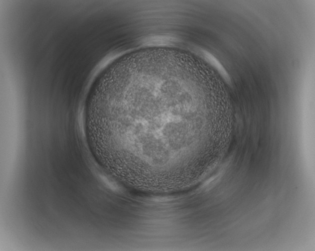 X0000113631035200909251216