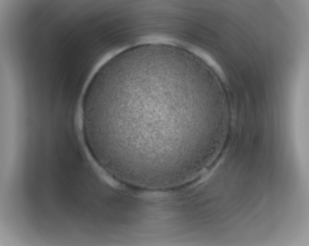 X0000113631040200909251216