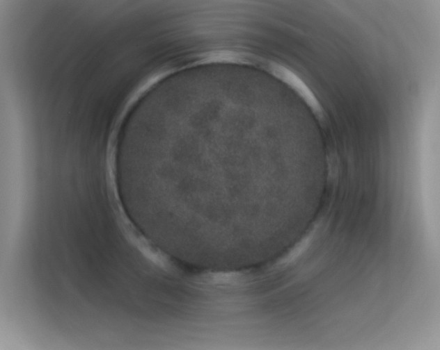 X0000113631043200909251216