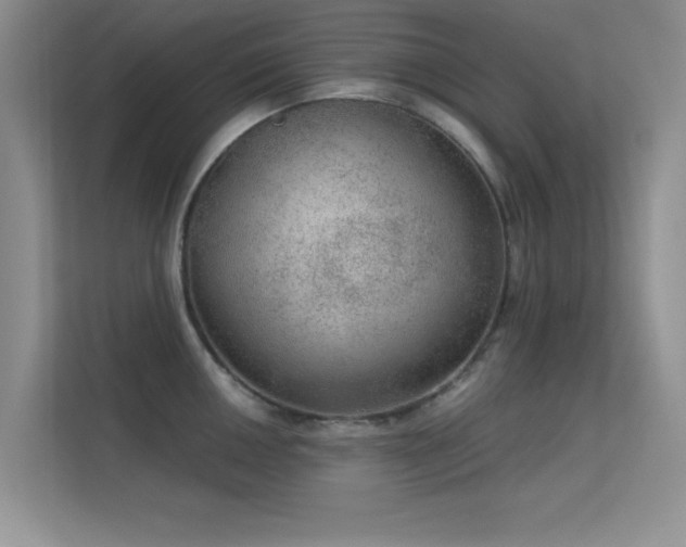 X0000113631050200909251216