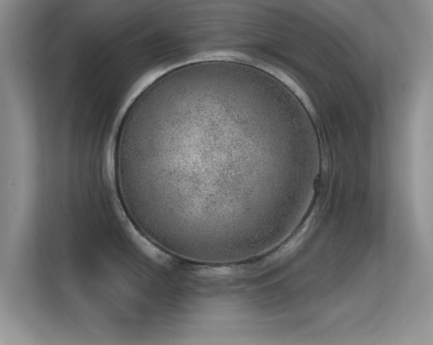 X0000113631054200909251216