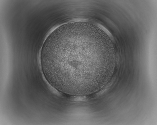 X0000113631055200909251216