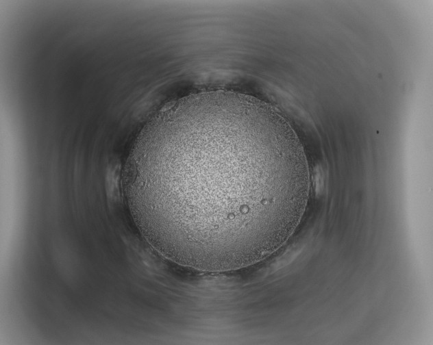 X0000113631059200909251216