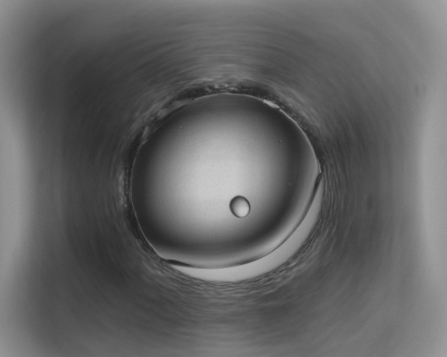 X0000113631060200909251216