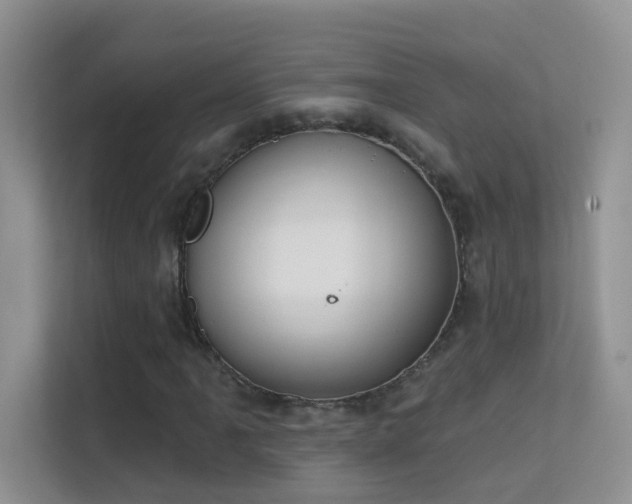 X0000113631061200909251216